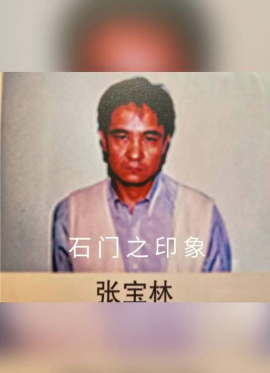 张宝林（石家庄黑社会性质团伙头目）