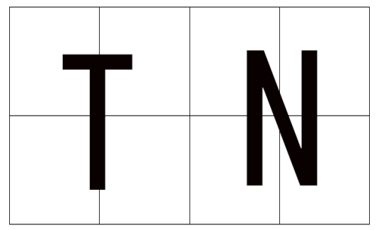 TN（系统中的重要组成部分）