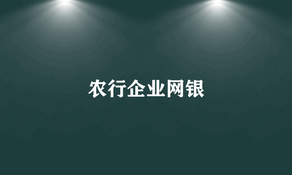 农行企业网银