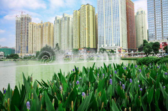 花果园(贵阳市中心住宅与办公区)