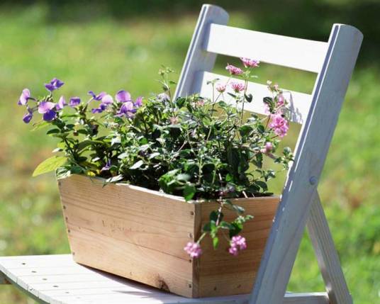 园艺（农业术语）