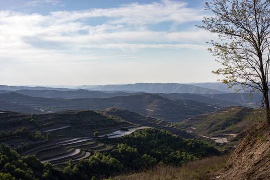 水土保持（避免水土流失的措施）