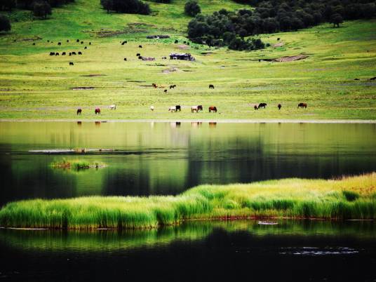 田园牧歌(三清山旅游景点)