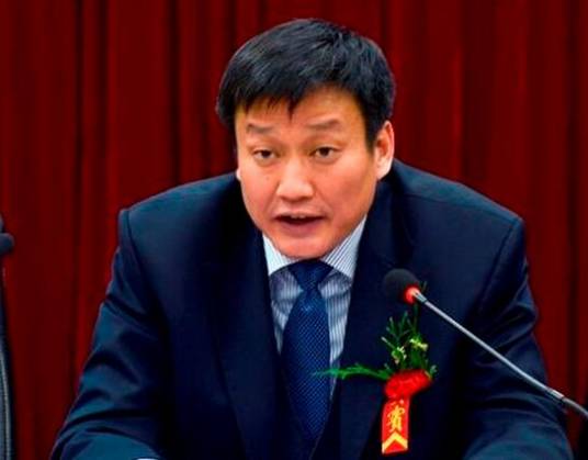 陈锋（河南省驻马店市政协党组书记、主席）