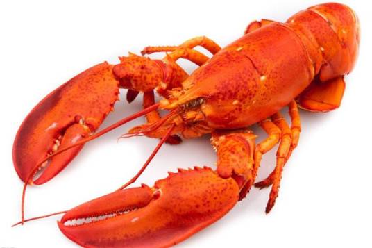 大龙虾