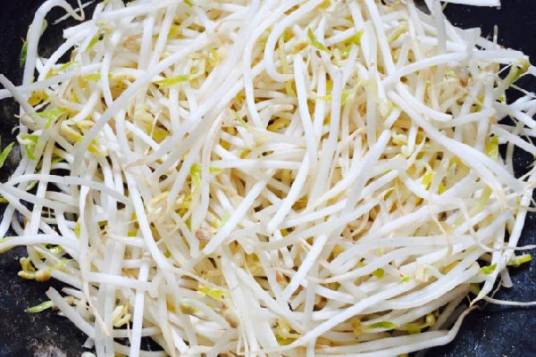 绿豆芽（豆科豇豆属植物）