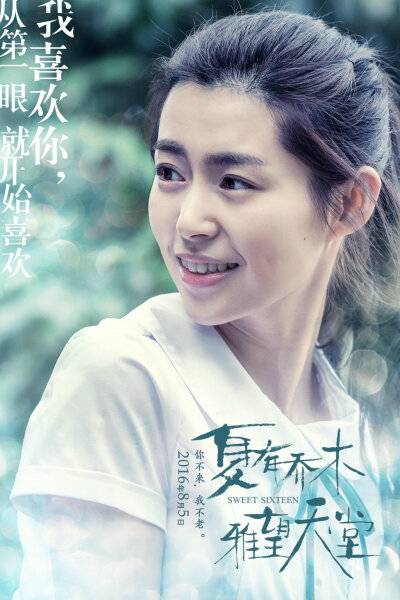 夏有乔木雅望天堂(2016年赵真奎执导电影)