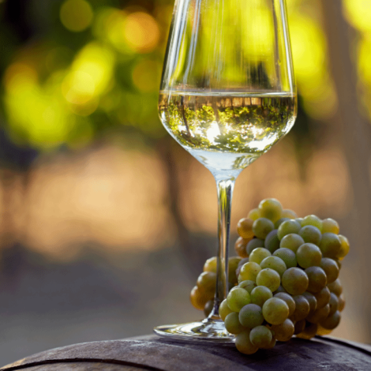 白葡萄酒（葡萄酒的一种）