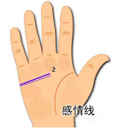 感情线（人体手掌上的三大主线之一）