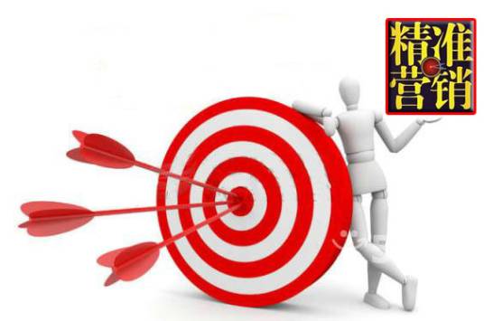 精准营销(市场营销方式)