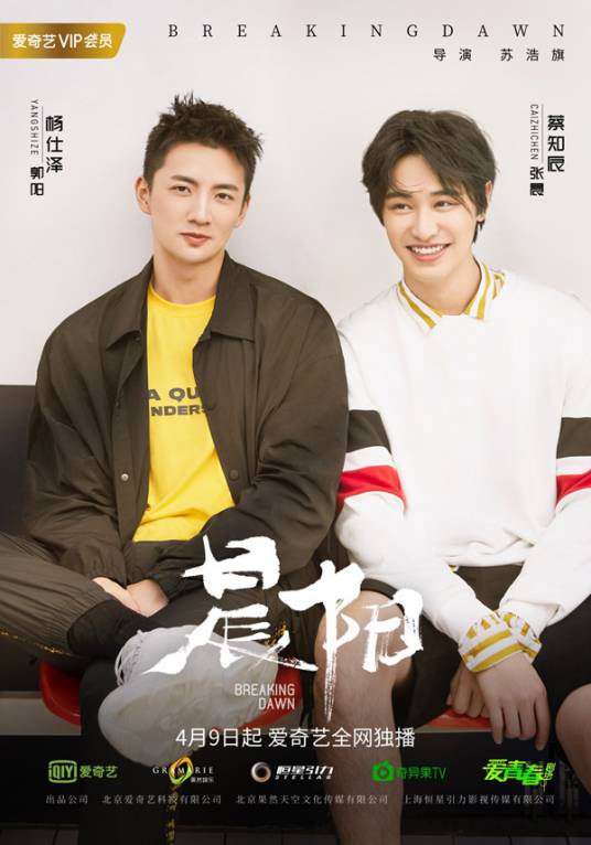 晨阳（2019年苏浩旗执导的电视剧）