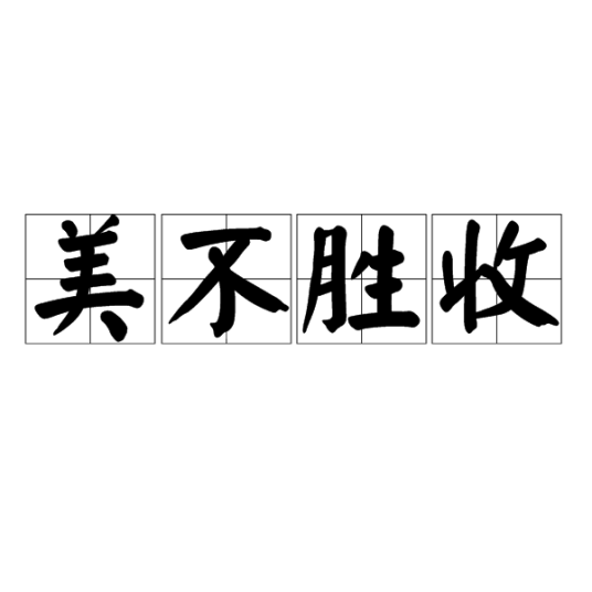 美不胜收（汉语成语）