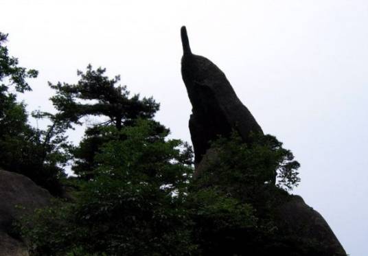 黄山奇石(语文课文)