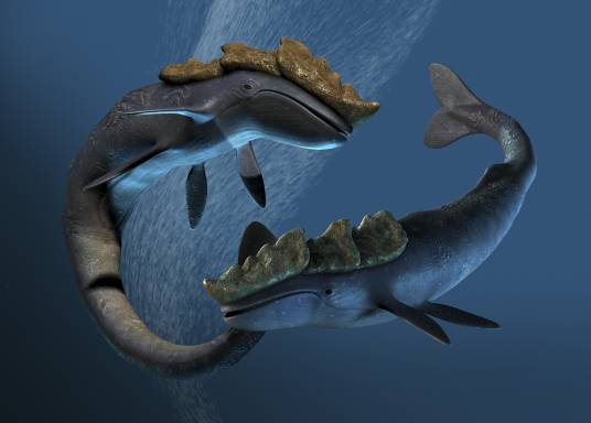 海怪（汉语词语）