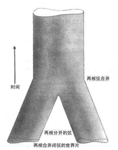 弦理论（理论物理的一个分支学科）