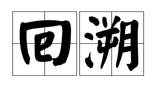 回溯（计算机算法）