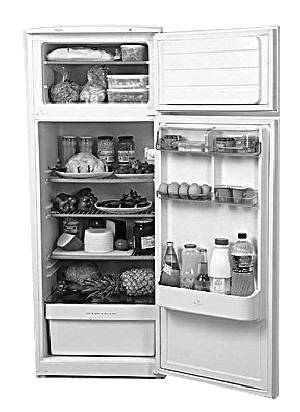 冷藏（食品保藏方法）