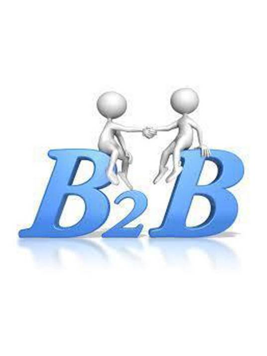 B2B平台（概念模式）