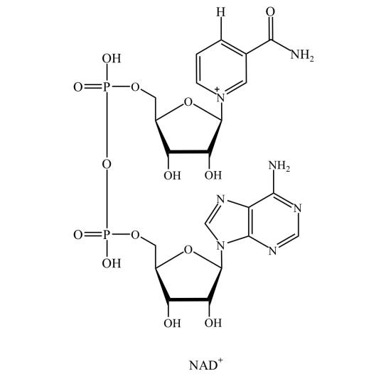 NAD（烟酰胺腺嘌呤二核苷酸）