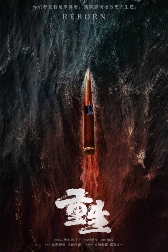 重生（2020年杨冬执导的电视剧）