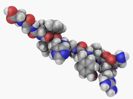 血管紧张素转化酶抑制剂
