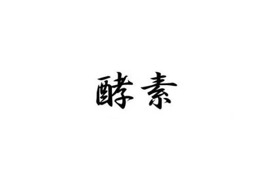 酵素（食物发酵后的产物）