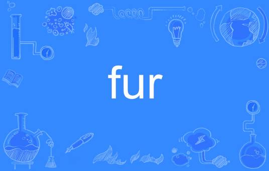 Fur（英文单词）