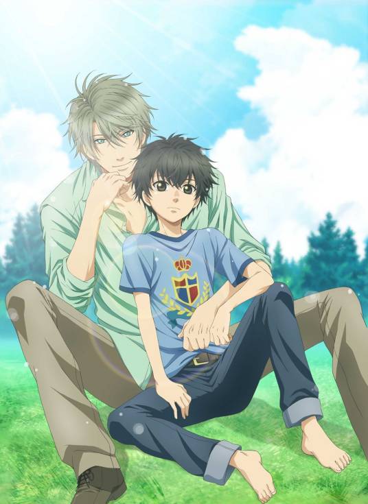 super lovers（Studio DEEN改编的电视动画）