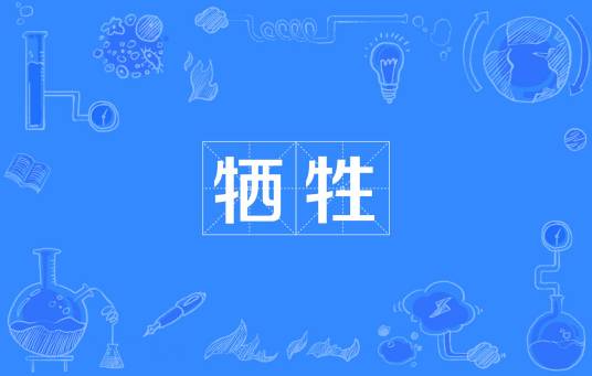 牺牲（汉语词语）