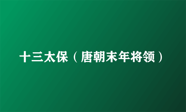 十三太保（唐朝末年将领）
