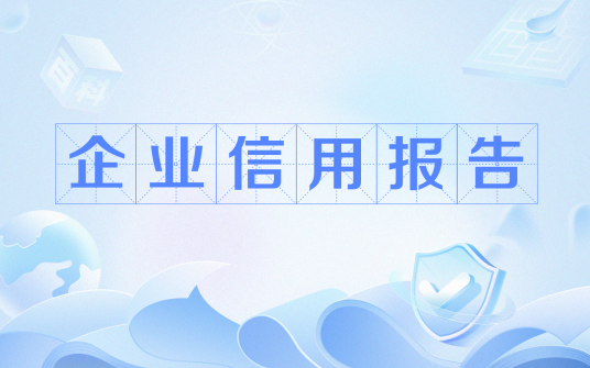 企业信用报告