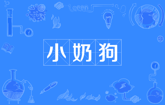 小奶狗（网络用语）