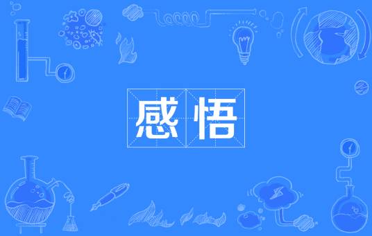 感悟（人类情感）