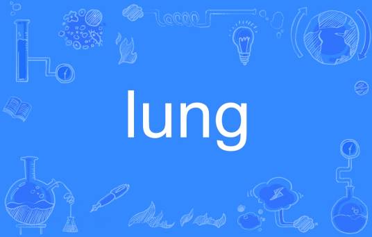 lung