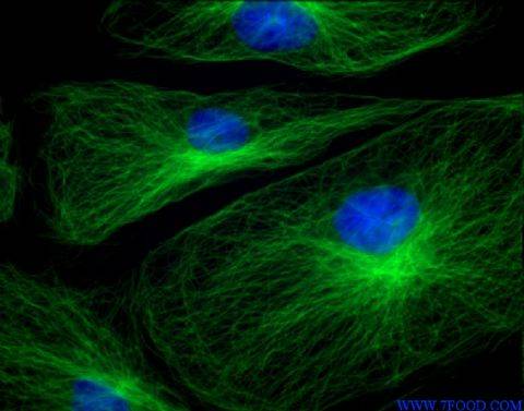 细胞生物学(生物学下属分类学科)