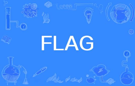 FLAG（网络流行语）