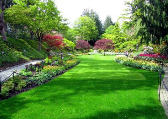 园林绿化（工程技术和艺术手段改造地形）