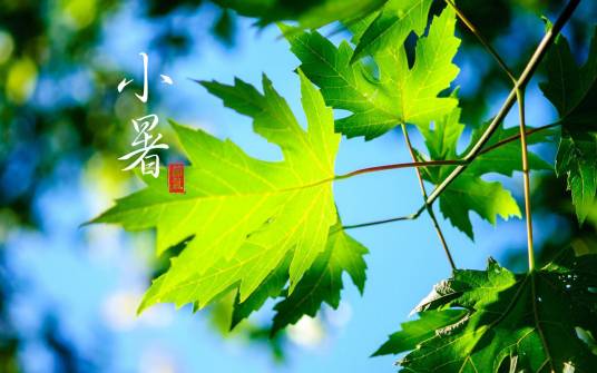 小暑(二十四节气之一)