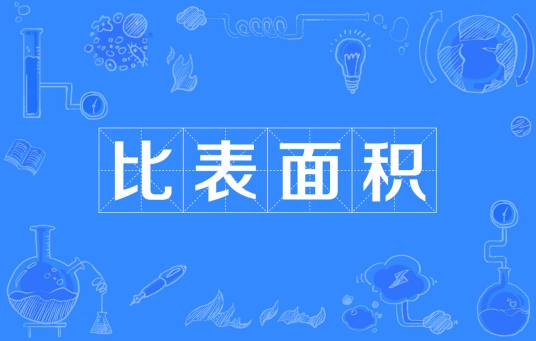 比表面积
