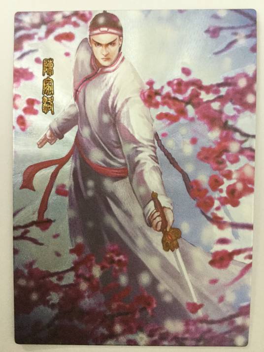 陈家洛(金庸武侠小说《书剑恩仇录》中的男主角)