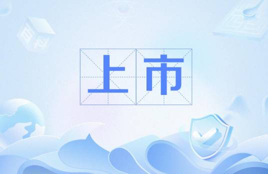 上市（证券市场术语）