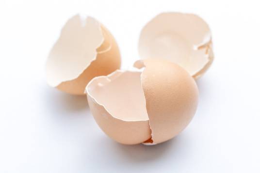 蛋壳（卵生动物的卵外壳）