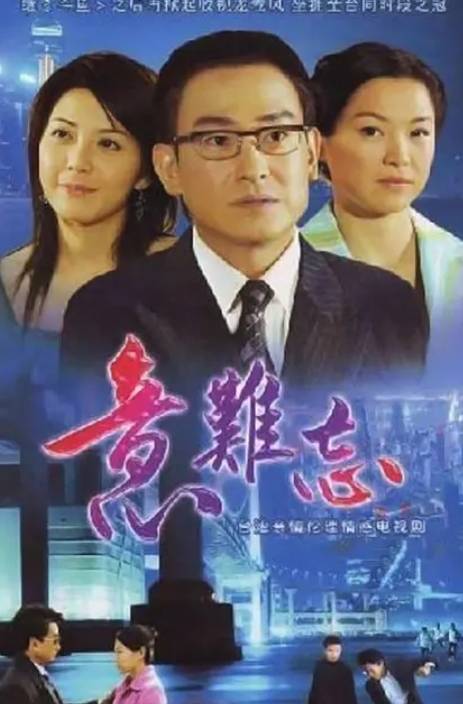 意难忘（2004年王为执导长篇电视剧）