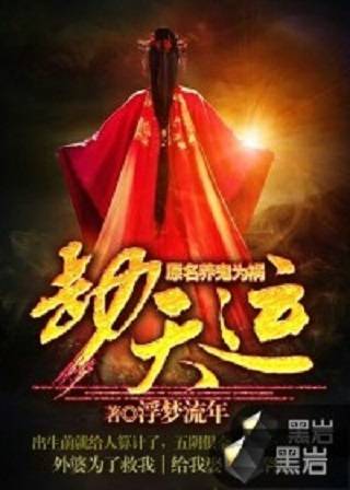 劫天运（2015年浮梦流年创作的网络小说）