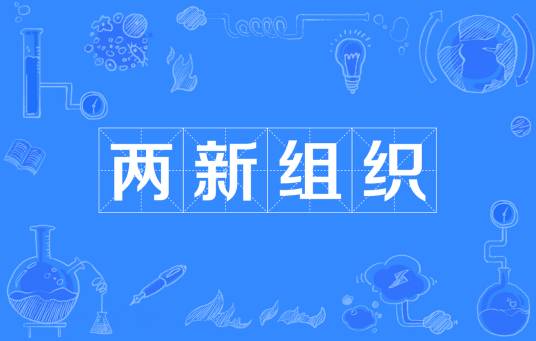 两新组织