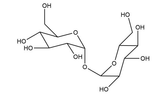 海藻糖（新型天然糖类）