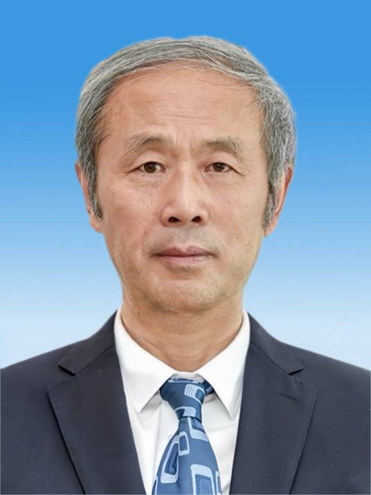 林鸣（中国工程院院士、中国交通建设股份有限公司总工程师）