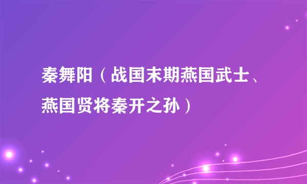 秦舞阳（战国末期燕国武士、燕国贤将秦开之孙）