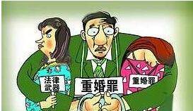 非法同居（法律术语）