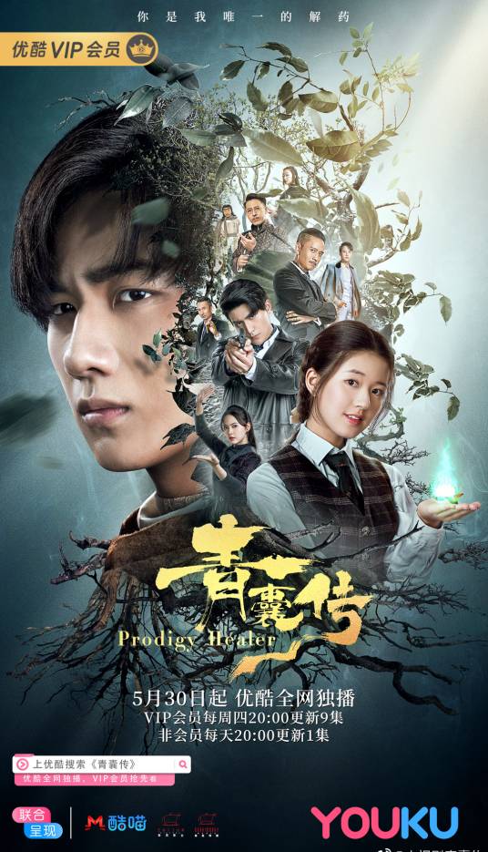 青囊传（2019年李宏毅、赵露思主演的民国奇幻剧）